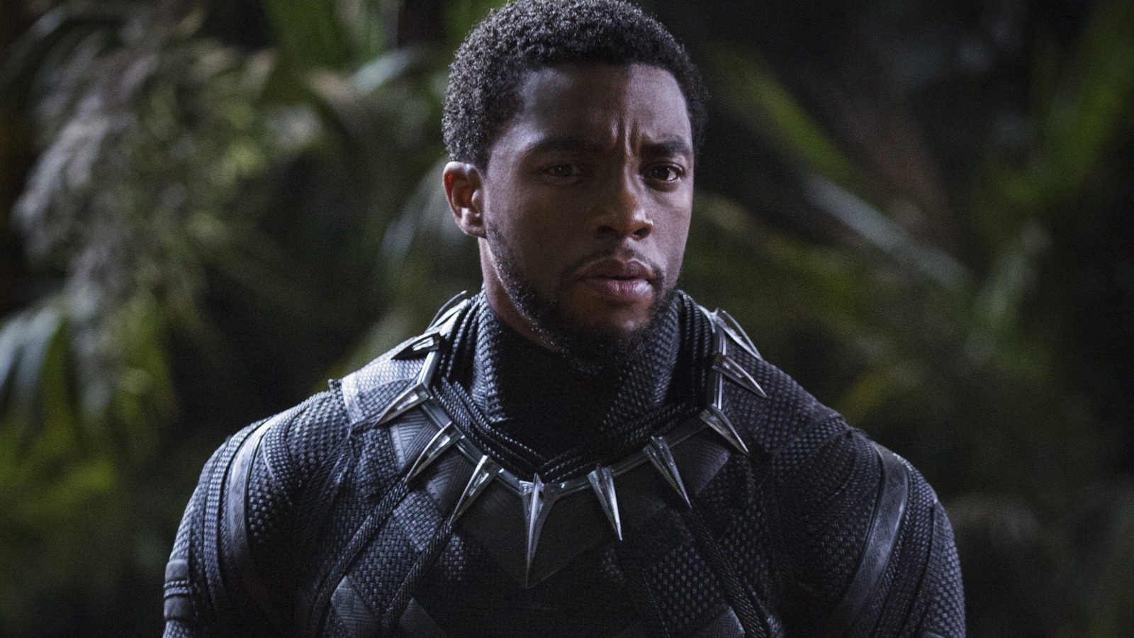 How A Failed Guardians Of The Galaxy Audition Led Chadwick Boseman To Black Panther