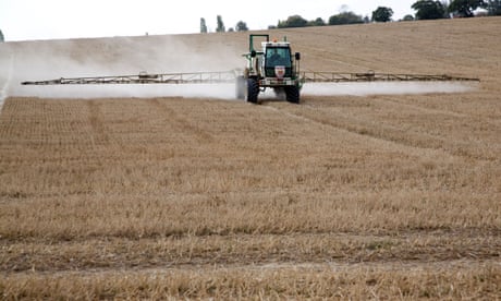 Revealed: Far higher pesticide residues allowed on food since Brexit