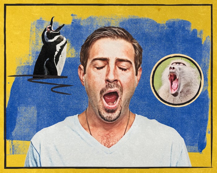 Why do we yawn? It’s almost certainly not for the reason you think