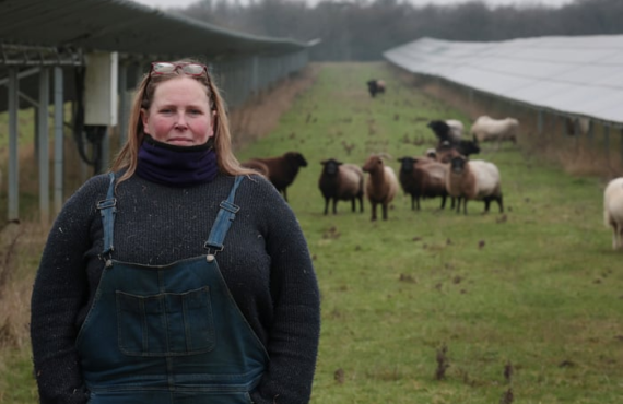 Solar grazing: ‘triple-win’ for sheep farmers, renewables and society or just a PR exercise for energy companies?