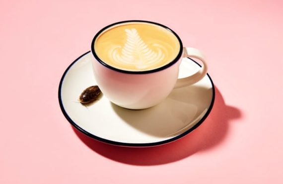 Help, there’s a cockroach in my coffee! 16 gross ingredients hidden in your favourite foods
