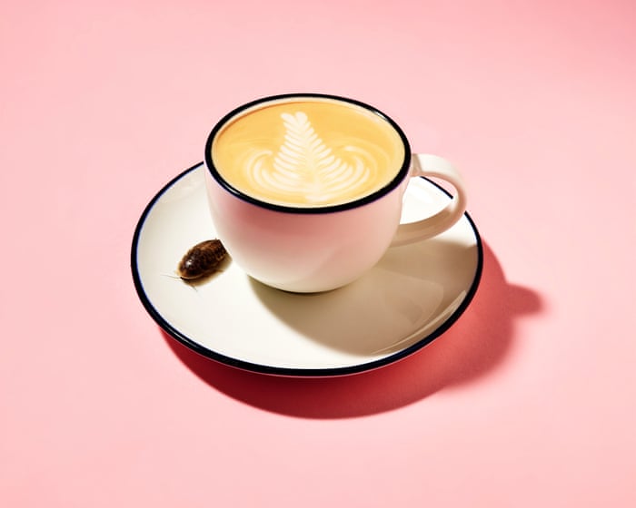 Help, there’s a cockroach in my coffee! 16 gross ingredients hidden in your favourite foods