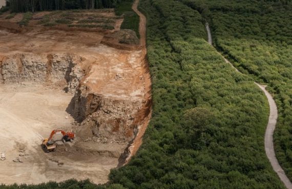 ‘It’s irreplaceable’: Fury over Reform plans to expand quarry in ancient Kent woodland